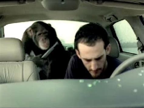 monkey trunk commercial